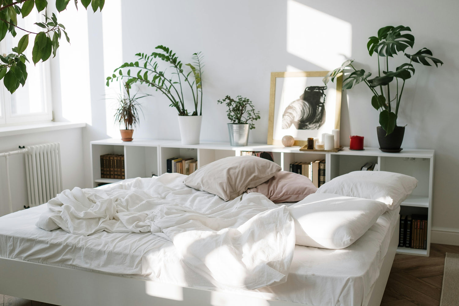 Restore, Connect, Belong – How Chenshia Helps You Create a Home That Nurtures