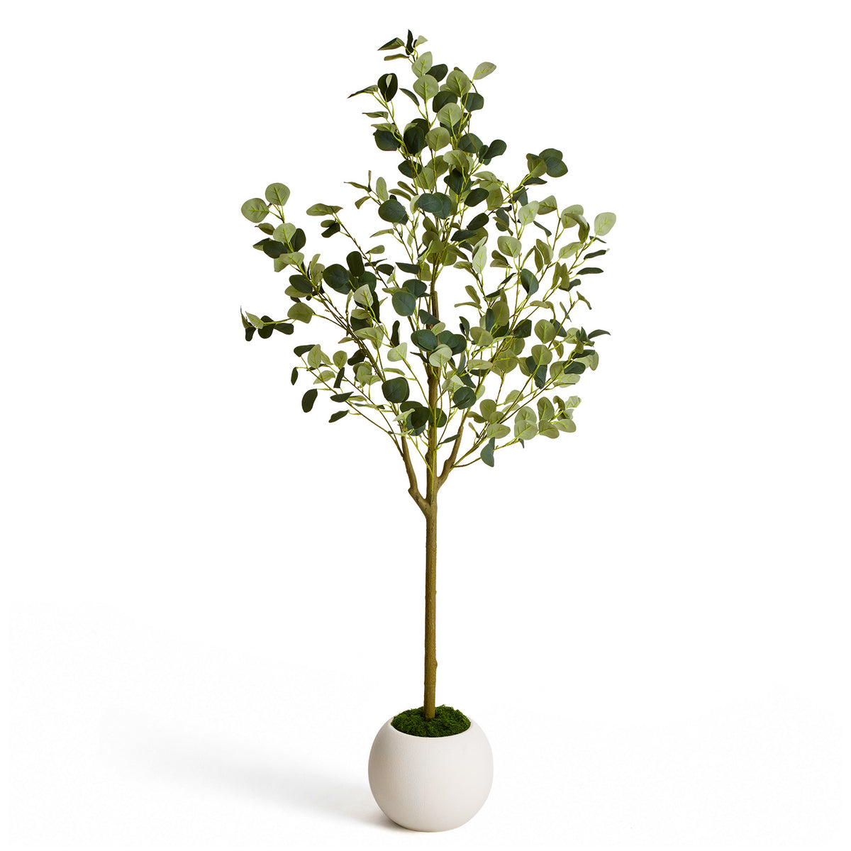 150cm Artificial Eucalyptus Tree with White Planter