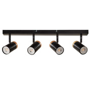 4-Head Adjustable Spotlight Ceiling Light