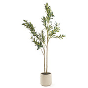 Artificial Olive Tree -  150 cm