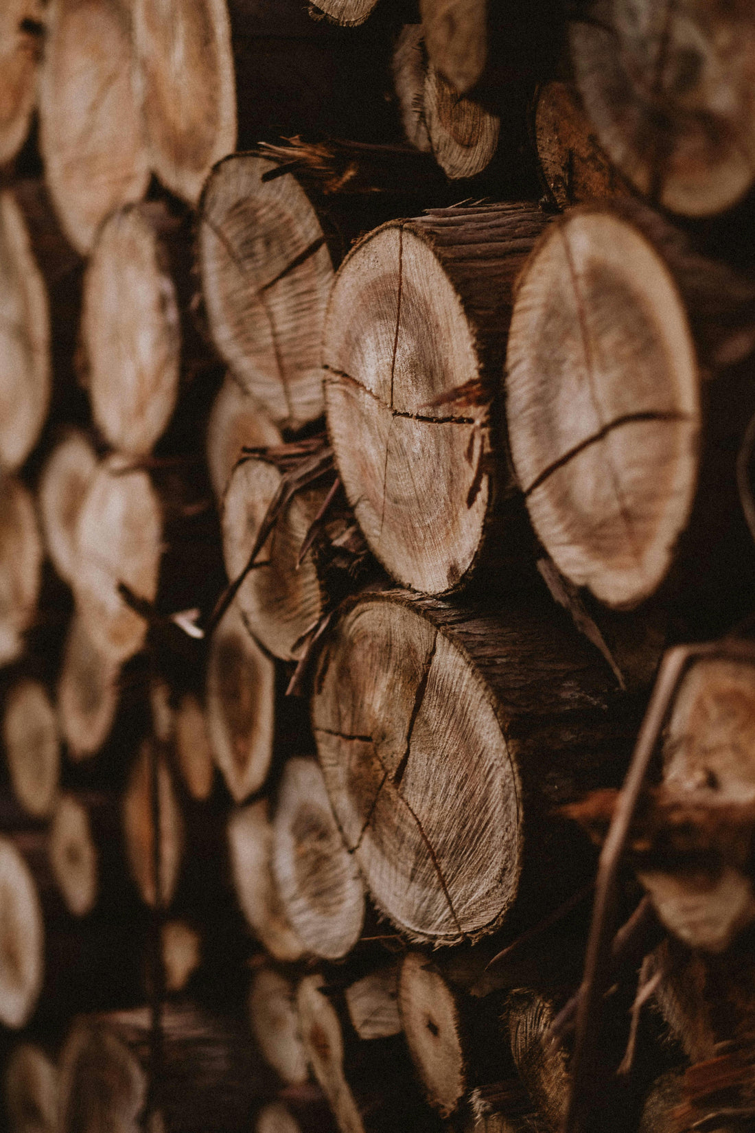 Wood · Warmth That Lasts