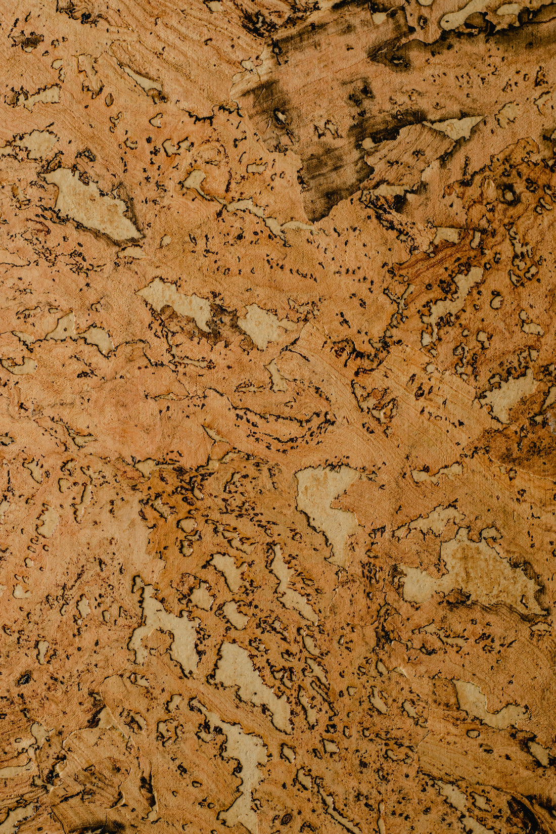 Cork · Gentle Tree Bark