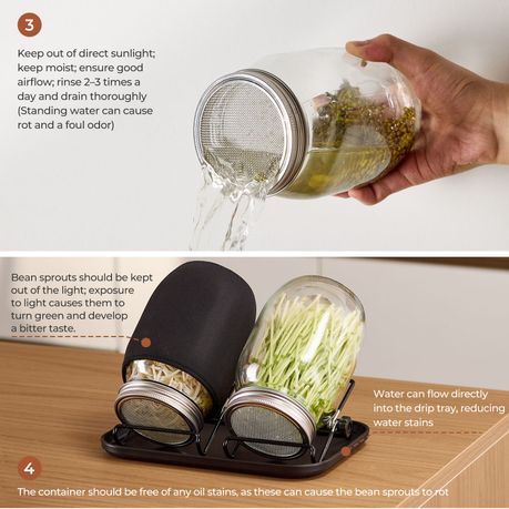 Sprouting Jar Kit | 2 × 946 ml Glass Jars
