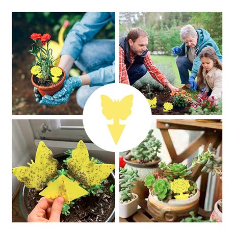 12pc Yellow Sticky Insect Traps