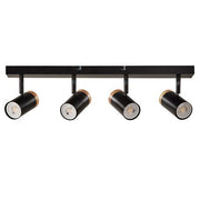 4-Head Adjustable Spotlight Ceiling Light