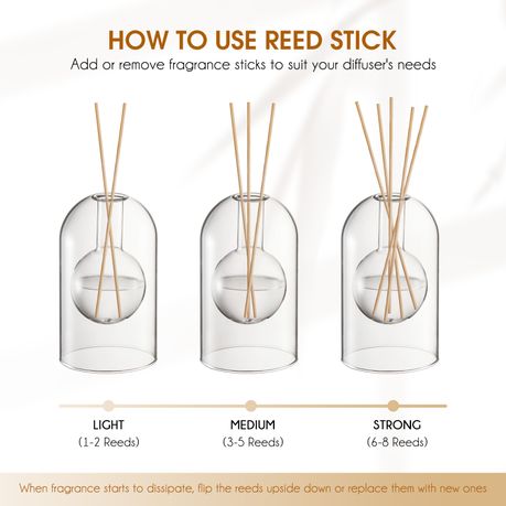 Diffuser with 8 Reed Sticks