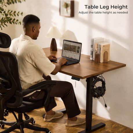 Electric Standing Desk Frame (100kg Capacity)