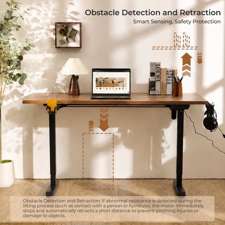 Electric Standing Desk Frame (100kg Capacity)