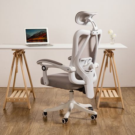 Chenshia Ergonomic Office Chair