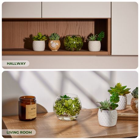 Artificial Succulent Plant Set Faux Succulent Assortment Unpotted Bulk Pack