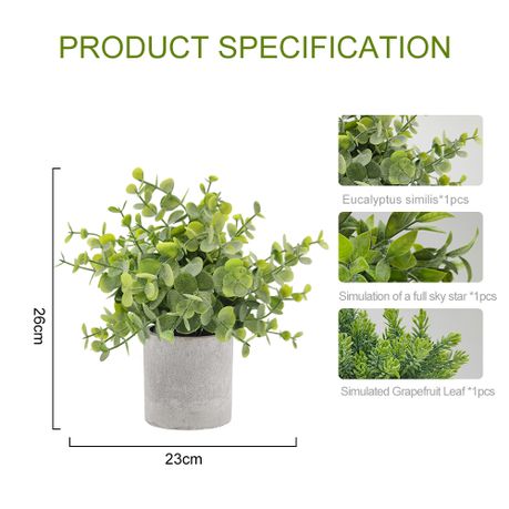 Mini Office Plant Set - 3-Pack