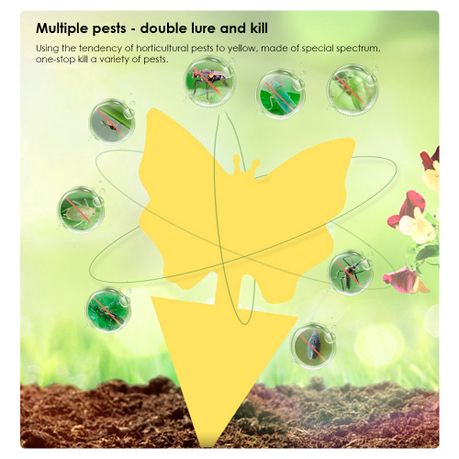 12pc Yellow Sticky Insect Traps