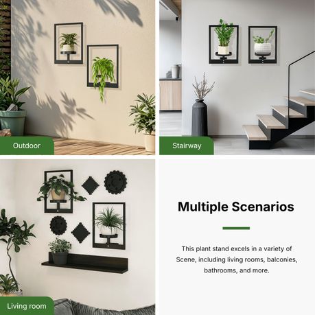 Metal Wall Indoor Plant Stand & Frame - 2 Pack