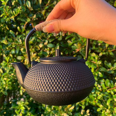 Japanese Cast Iron Tea Set - 6-Piece