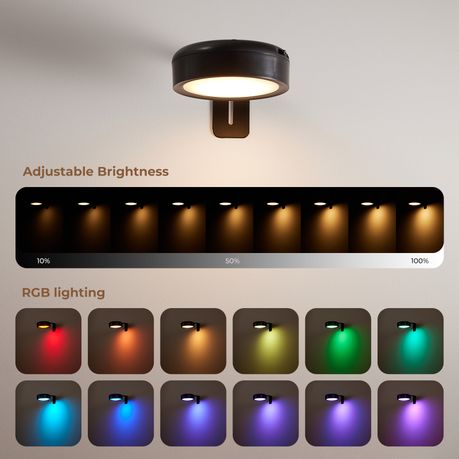 Magnetic LED Picture Light