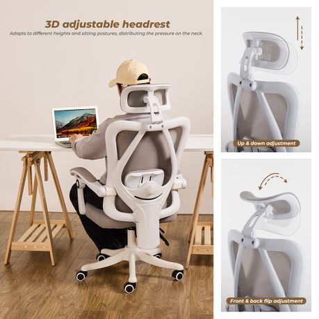 Chenshia Ergonomic Office Chair