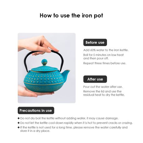 Chenshia 800ml Authentic Handmade Cast Iron Teapot with Infuser