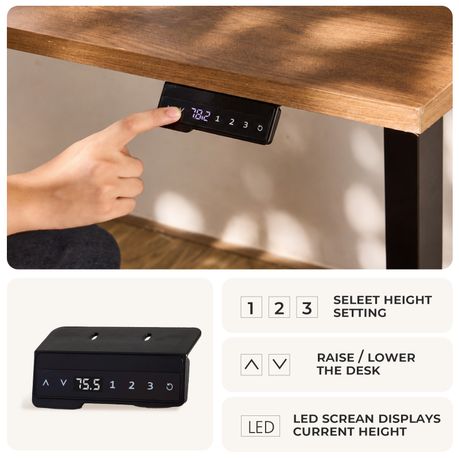 Electric Standing Desk Frame (100kg Capacity)