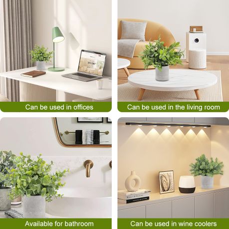 Mini Office Plant Set - 3-Pack