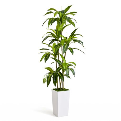180cm Artificial Dracaena Tree