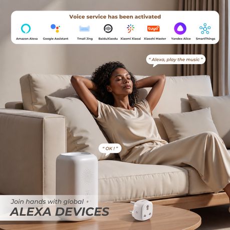 16A Heavy-Duty Wi-Fi Power Socket