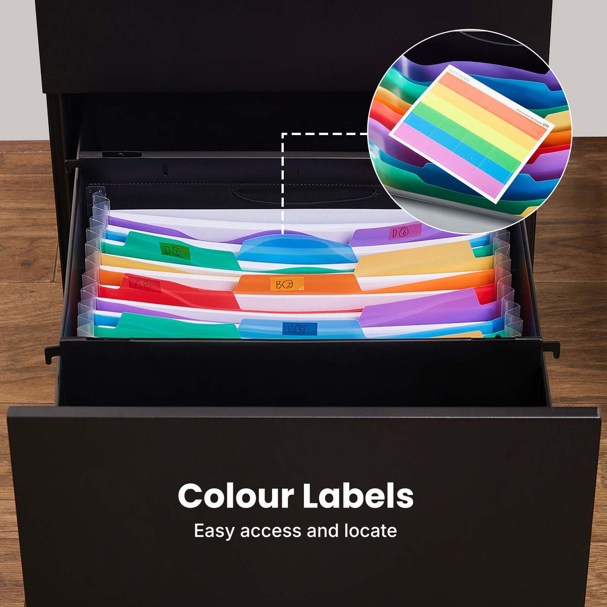 13-Pocket Accordion File Organizer