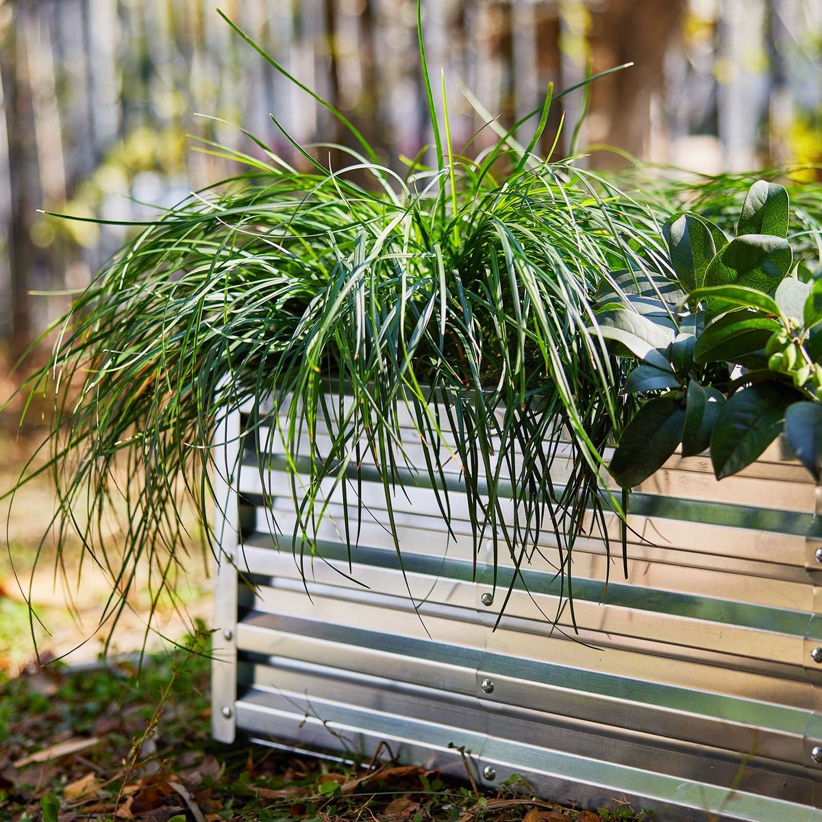 Galvanised Steel Raised Garden Planting Beds for Outdoor Garden