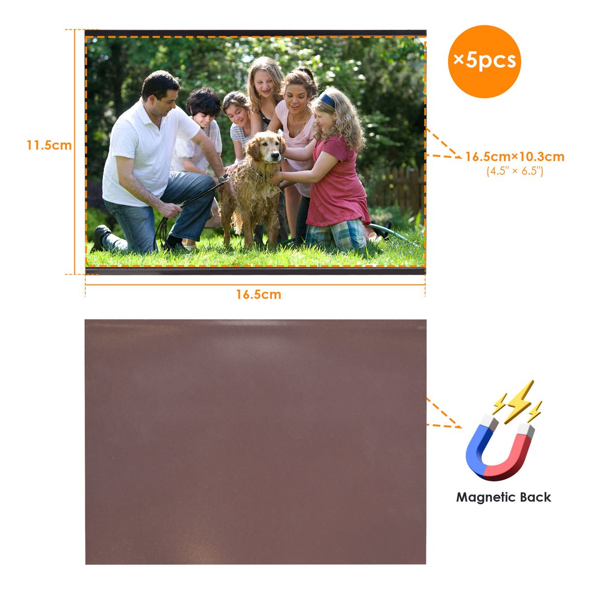 Chenshia 5pcs Magnetic Picture Frames Photo Frame Pockets for fridge locker