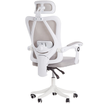 Chenshia Ergonomic Office Chair