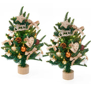 Mini Christmas Tree Set with LED Lights