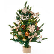 Mini Christmas Tree Set with LED Lights