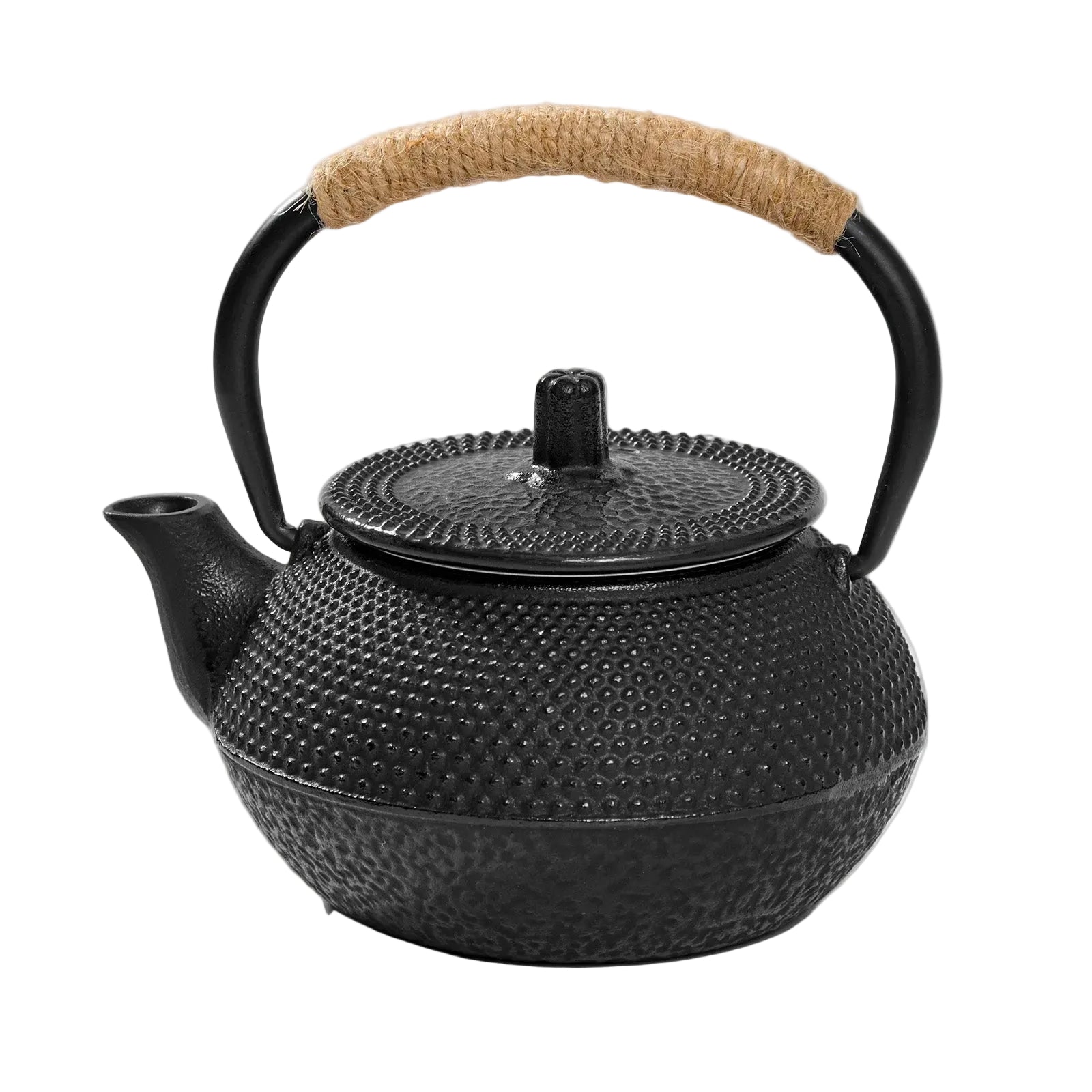 Cast Iron Teapot Japanese Tea Kettle